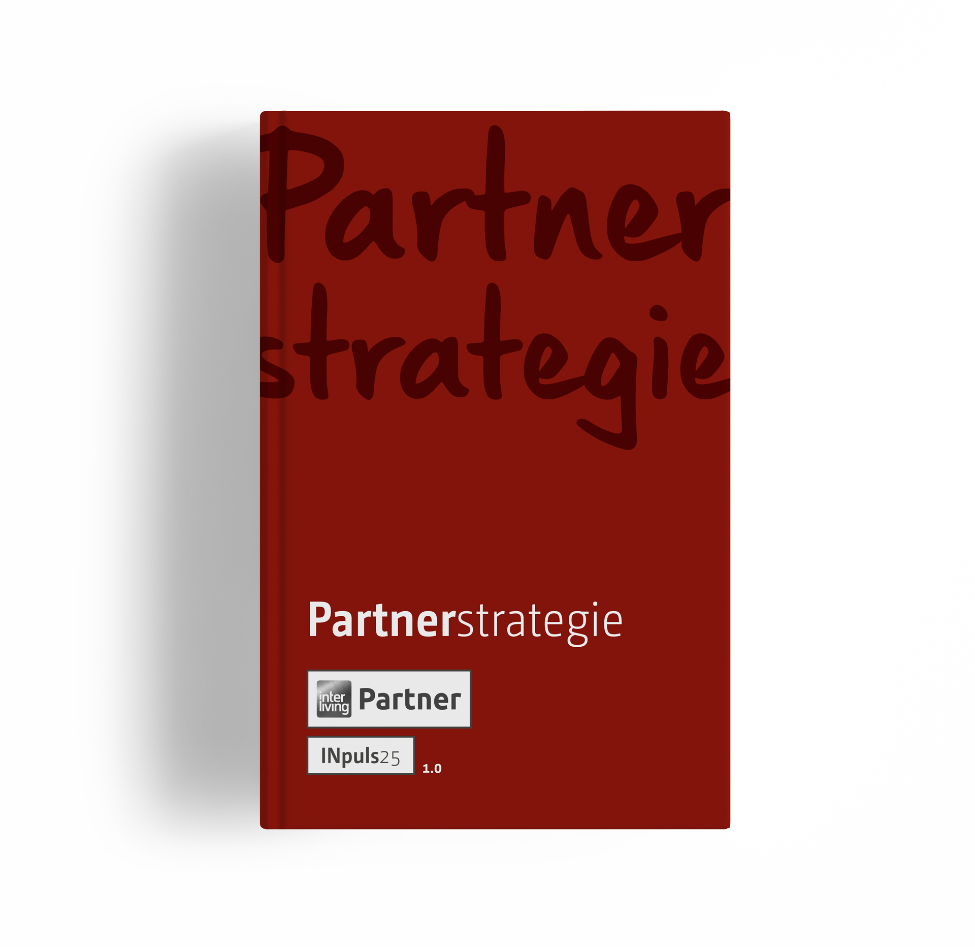 partnerstrategie_01